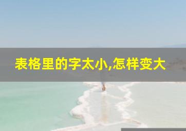 表格里的字太小,怎样变大