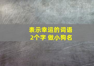 表示幸运的词语2个字 做小狗名