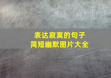 表达寂寞的句子简短幽默图片大全