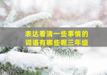 表达看清一些事情的词语有哪些呢三年级