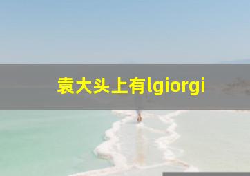 袁大头上有lgiorgi