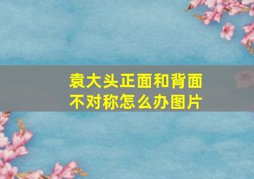 袁大头正面和背面不对称怎么办图片