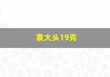 袁大头19克