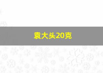 袁大头20克