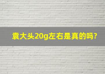 袁大头20g左右是真的吗?