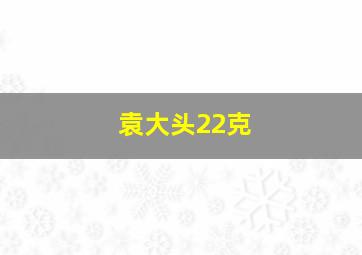 袁大头22克