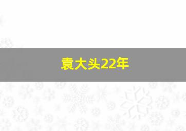 袁大头22年