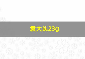 袁大头23g