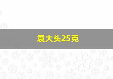 袁大头25克