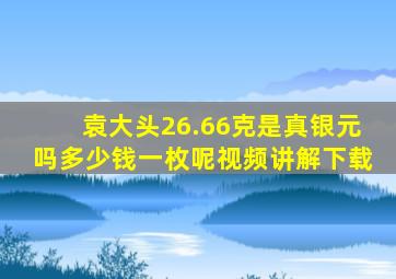 袁大头26.66克是真银元吗多少钱一枚呢视频讲解下载