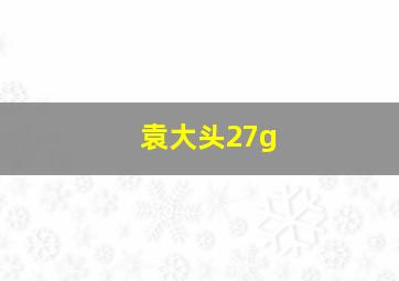 袁大头27g