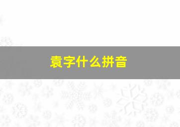 袁字什么拼音