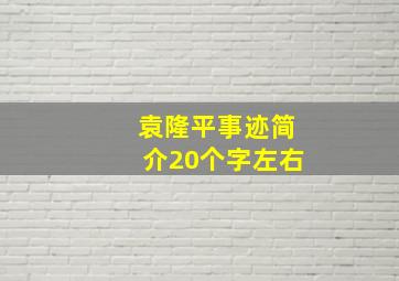 袁隆平事迹简介20个字左右