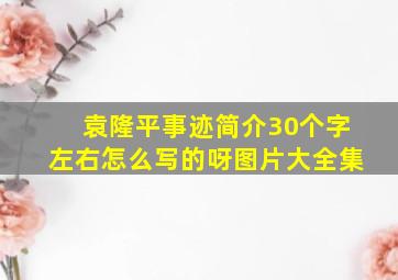 袁隆平事迹简介30个字左右怎么写的呀图片大全集