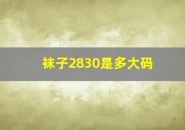 袜子2830是多大码