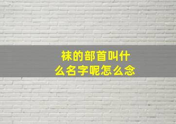 袜的部首叫什么名字呢怎么念