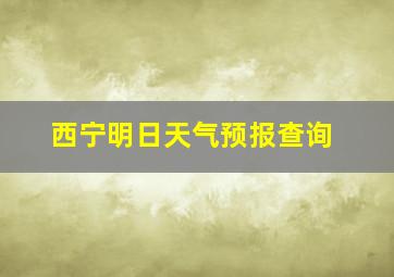 西宁明日天气预报查询