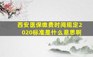 西安医保缴费时间规定2020标准是什么意思啊