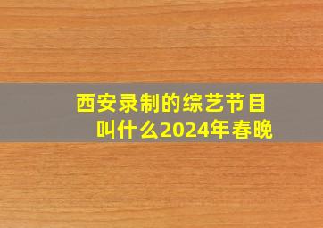 西安录制的综艺节目叫什么2024年春晚