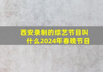 西安录制的综艺节目叫什么2024年春晚节目