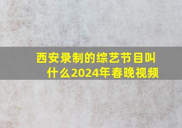 西安录制的综艺节目叫什么2024年春晚视频