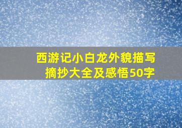 西游记小白龙外貌描写摘抄大全及感悟50字