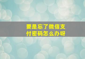 要是忘了微信支付密码怎么办呀