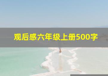 观后感六年级上册500字