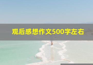 观后感想作文500字左右