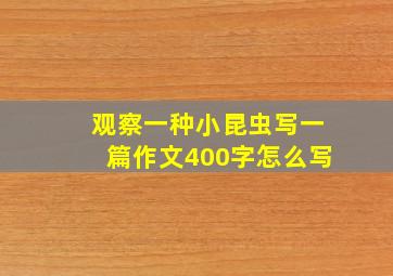 观察一种小昆虫写一篇作文400字怎么写