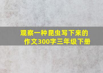 观察一种昆虫写下来的作文300字三年级下册