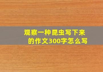 观察一种昆虫写下来的作文300字怎么写