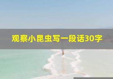 观察小昆虫写一段话30字