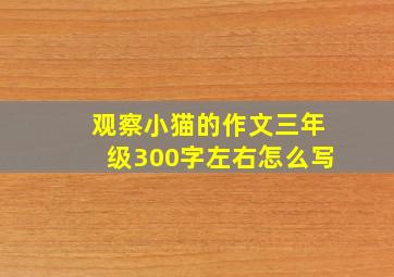 观察小猫的作文三年级300字左右怎么写