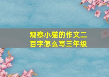 观察小猫的作文二百字怎么写三年级