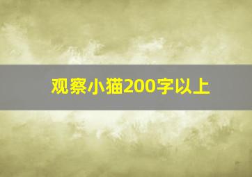 观察小猫200字以上