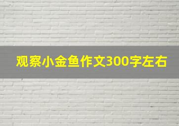 观察小金鱼作文300字左右