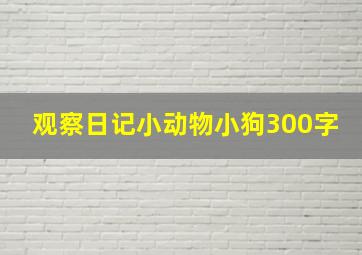 观察日记小动物小狗300字