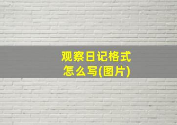 观察日记格式怎么写(图片)