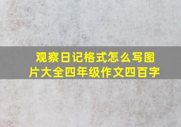 观察日记格式怎么写图片大全四年级作文四百字