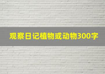 观察日记植物或动物300字