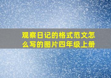 观察日记的格式范文怎么写的图片四年级上册