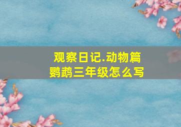 观察日记.动物篇鹦鹉三年级怎么写