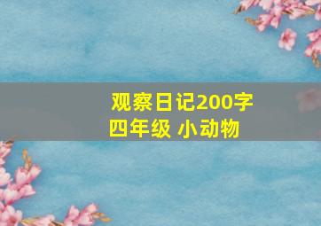 观察日记200字 四年级 小动物