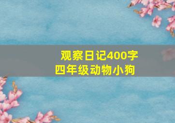 观察日记400字 四年级动物小狗