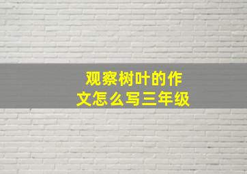 观察树叶的作文怎么写三年级