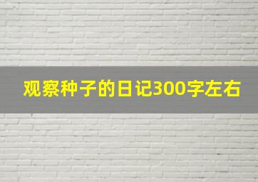 观察种子的日记300字左右