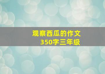 观察西瓜的作文350字三年级