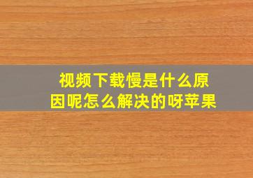 视频下载慢是什么原因呢怎么解决的呀苹果