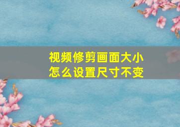 视频修剪画面大小怎么设置尺寸不变